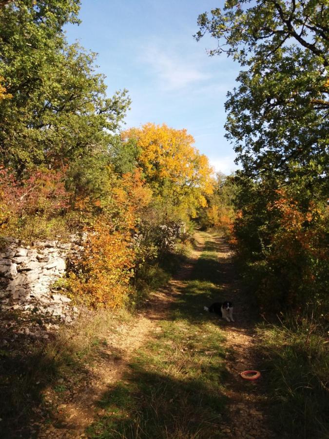 Les Trois Prunelles Saint-Pierre-Toirac Eksteriør bilde