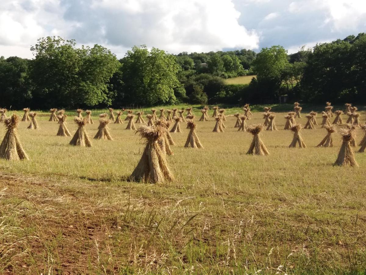 Les Trois Prunelles Saint-Pierre-Toirac Eksteriør bilde